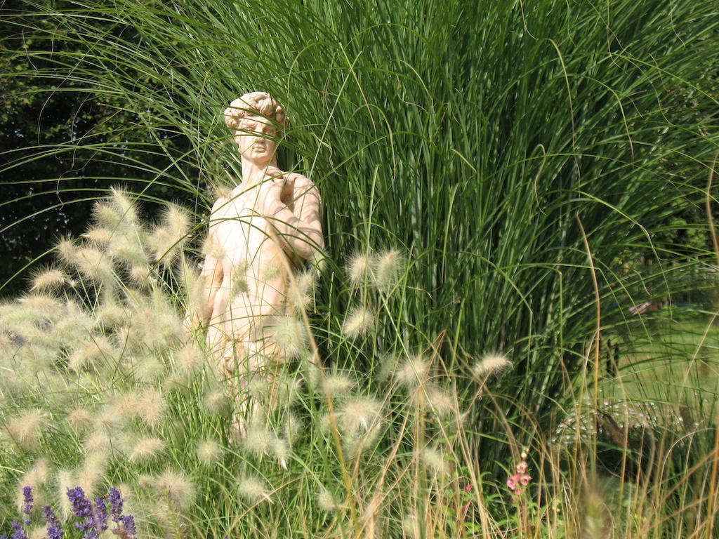 ホテル Domaine De La Jarrige Saint-Vaury エクステリア 写真
