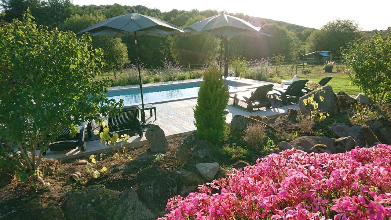 ホテル Domaine De La Jarrige Saint-Vaury エクステリア 写真